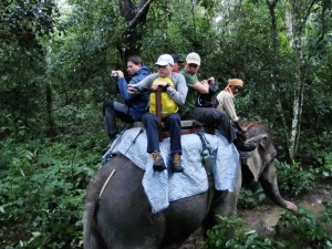 Elefantenritt im Dschungel im Chitwan Elefantenritt im Dschungel im Chitwan