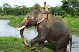 Lehrer-Reise für Einzelperson nach Nepal an Ostern  1900€ passgenau in die Ferien