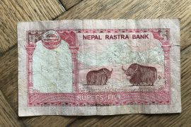 Trinkgeld in Nepal 1 Yaks auf Trinkgeld-Schein in Nepal