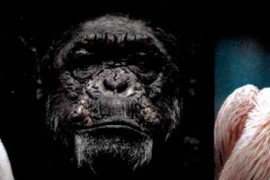 Neuigkeiten – Yeti + Fotoausstellung